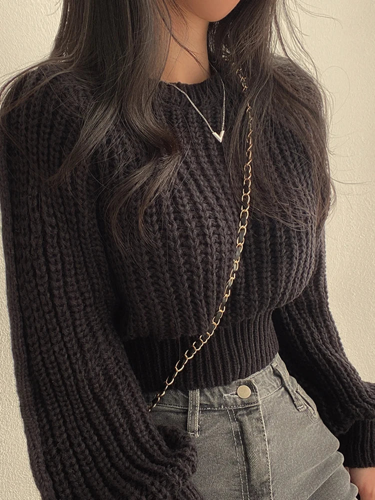 Vintage Lantern Sleeve Harajuku Sweater