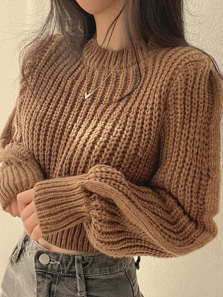 Vintage Lantern Sleeve Harajuku Sweater
