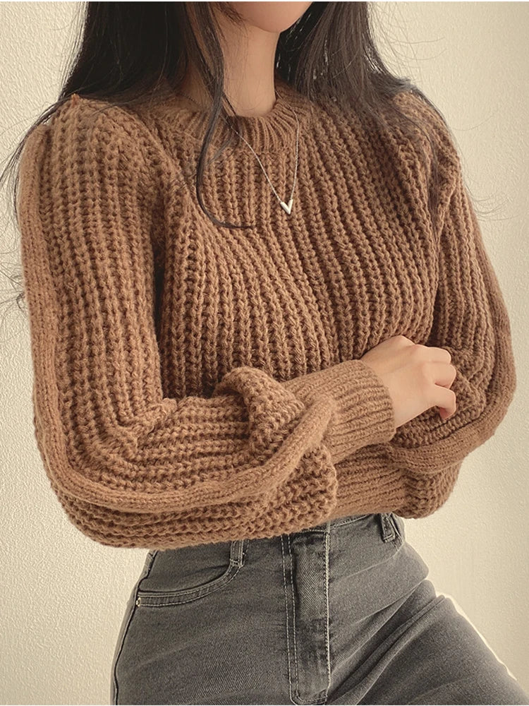 Vintage Lantern Sleeve Harajuku Sweater